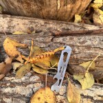 Tenzing Pry Bar